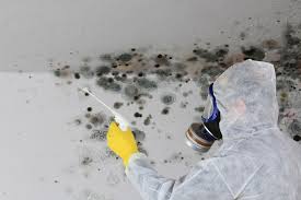 Biohazard Mold Removal in El Dorado Springs, MO